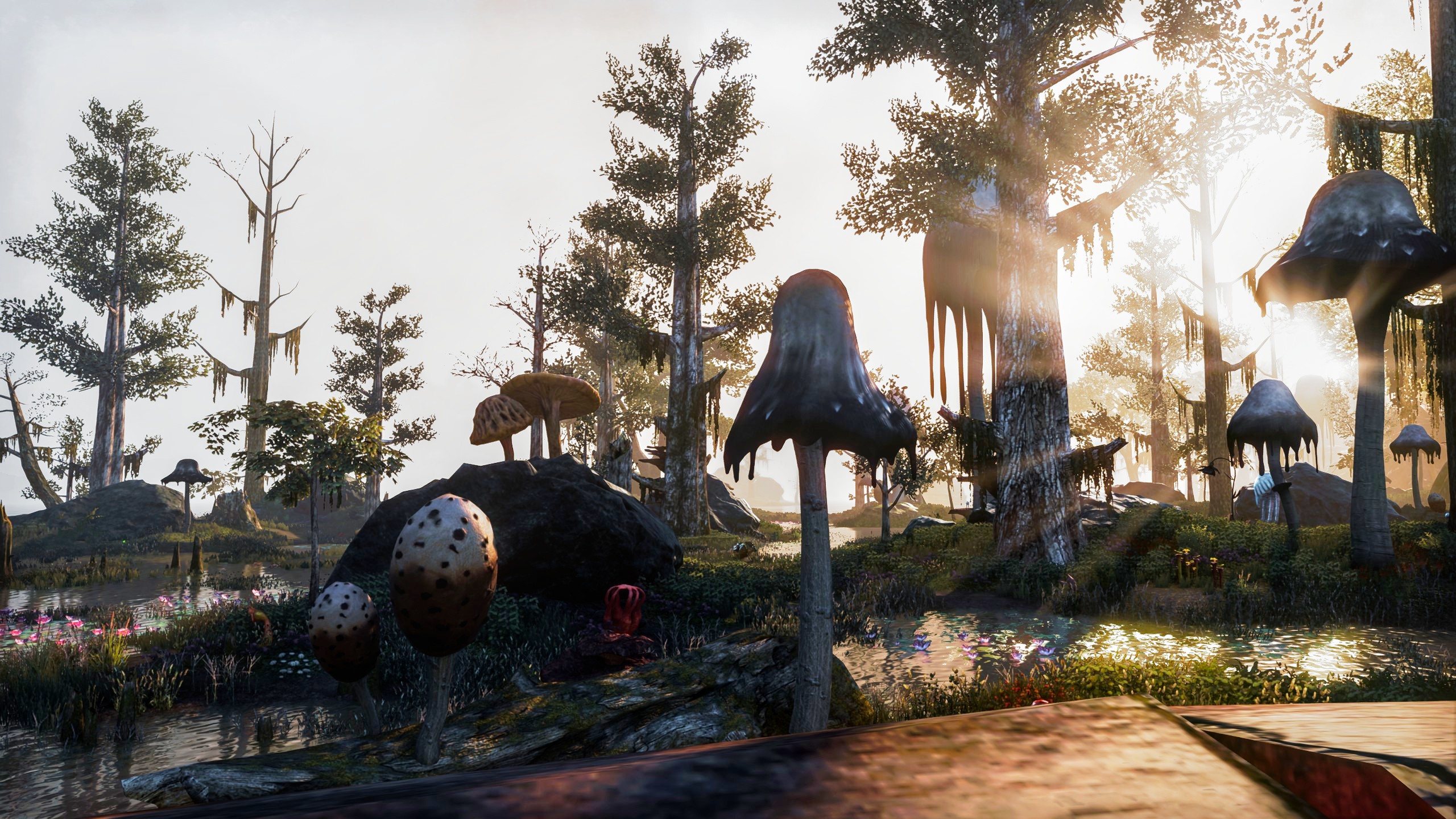 A screenshot from the game Elder Scrolls Online. It depicts a swampy area, a part of the Bitter Coast. The swamp is dotted with trees and large mushrooms. There are also smaller bushes, ferns and flowers in different colors. It is dawn and the sun shines through the leaves. The atmosphere is calm and peaceful.
