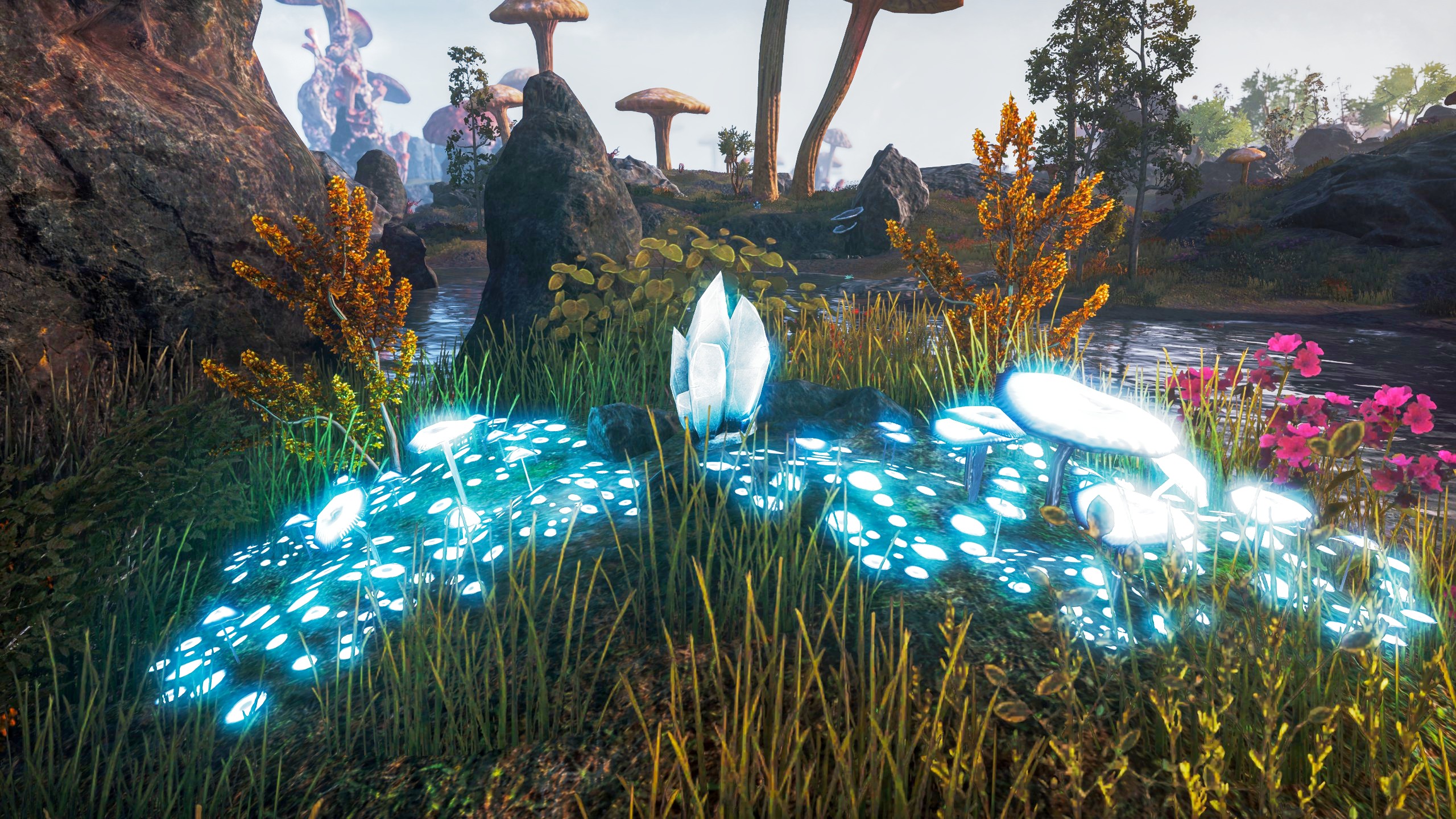 A cluster of glowing mushrooms and a skyshard (a large, blueish-white glowing crystal) in a fantasy landscape with large mushrooms, grass, and a water in the background.